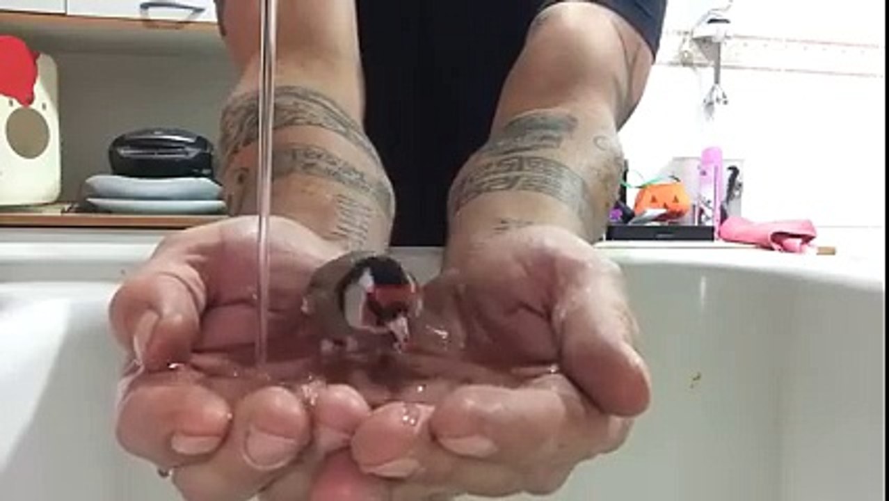 Wow! Amazing