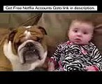 Pitbull Dog Cute - Funny baby| funny dog videos | funny dog vines, baby 10