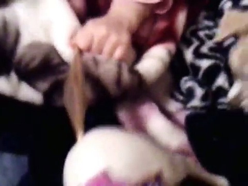 My Dog Hates Horses
