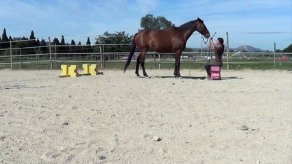 Challenge 1 - Elo et Romagne