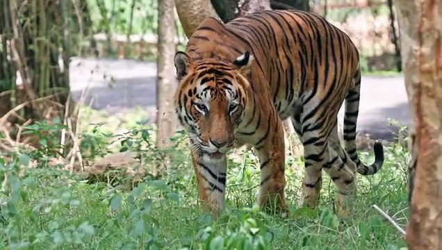 UNESCO 32 World Heritage Sites In INDIA