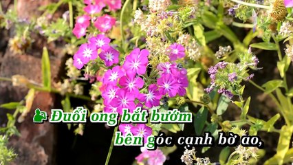 [Karaoke Demo] Chuyện Hoa Sim 2 - Tuấn Vũ - Băng Tâm If Ngọc Huyền [ Full HD 1080 ]