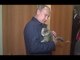 Nothing to see here: Just Putin cuddling a fluffy cat