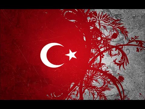 Turkish Defence Industry