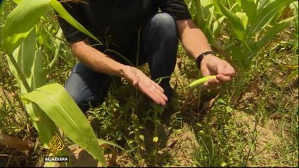 Concerns for millions over drought in Ethiopia