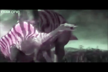 ASDC - Torvosaurus vs Stegosaurus