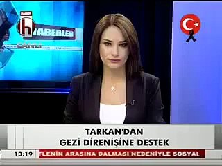 Tarkan Konserinde Her Yer Taksim Her Yer Direniş