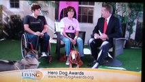 Surf dog Ricochet & Borias - hero dog awards on Channel 6 News
