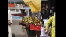 Midhas' Travels in Kashmir - Gulmarg, Sonmarg, Khilanmarg, Tunenmarg