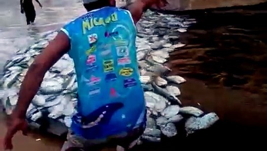 Itapo beach fish bumper - video dailymotion