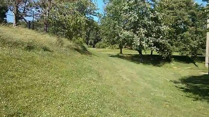 My pit mix playing & catching frisbee