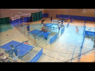 STAGES ETE 2015 ALES SO Tennis de Table