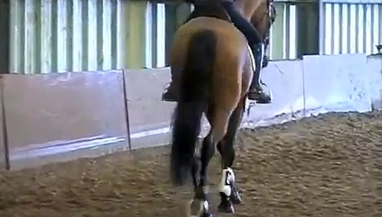Dressage haute école, Kareen Breig (Nord)