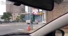 Cops chasing horse in NYC