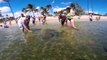 Poipo Beach Kauai Hawaii - Snorkeling With Sea Turtles - gopro