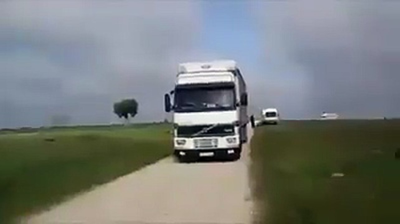 Thousands of birds went out from a bus