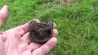 Metal Detecting UK (387) XP Deus - Lost and Found and Lost Again