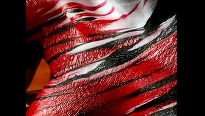 Cuerpo Pintado Arte Corporal Paradise Bird Bodypainting.mpg