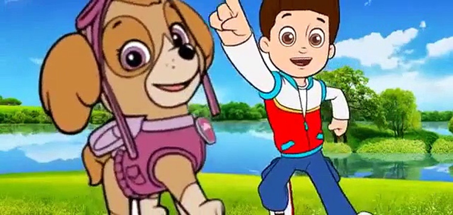 動畫片, Paw Patrol - Finger Family, Cartoons for kids, Finger Family Songs 2015