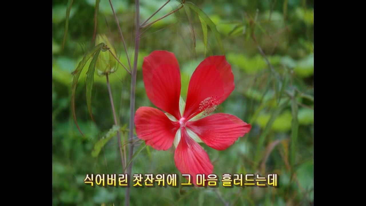 그대의 침묵 artist 임수정