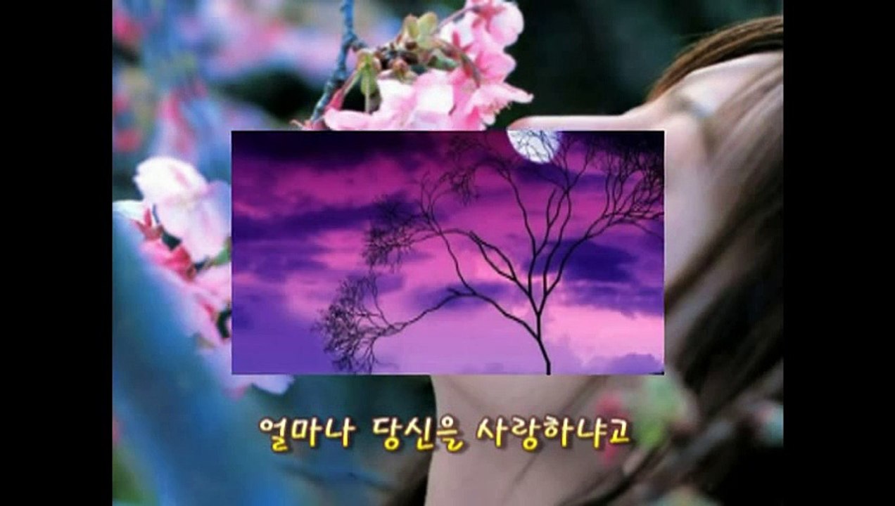 등려군-월량대표아적심