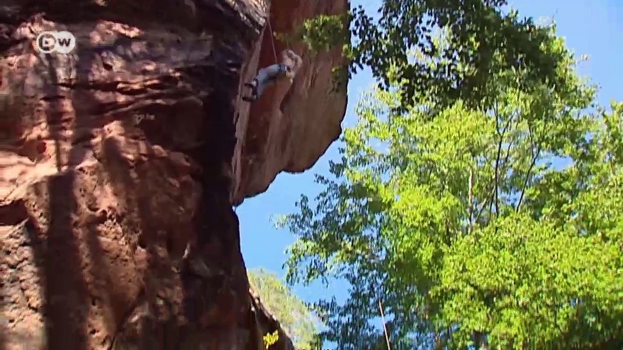 Pfälzerwald - Natur kennt keine Grenzen | Hin & weg