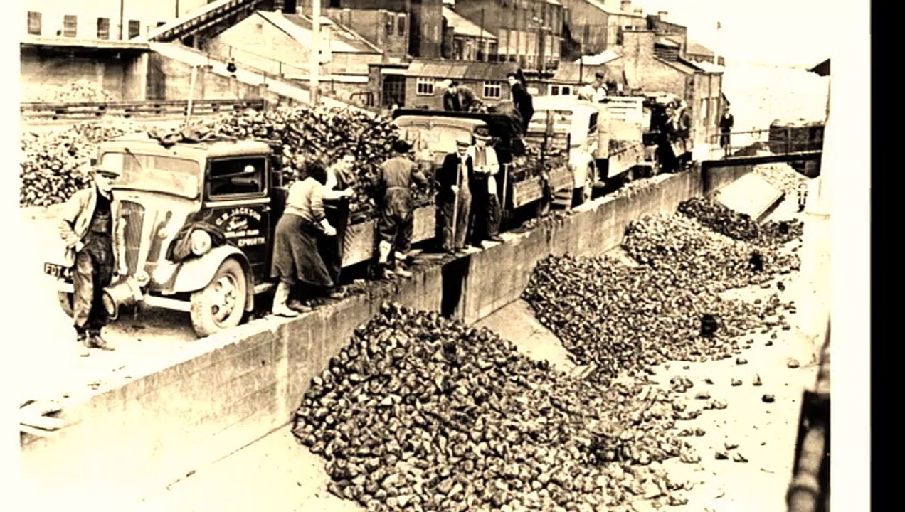 truck fleet videos/doing the beet