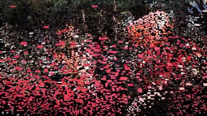 Tbilisi State Medical University. თბილისის სახელმწიფო სამედიცინო უნივერსიტეტი.