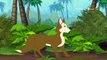 Fox Without Its Tail Aesop's Fables Animated/Cartoon Tales For Kids
