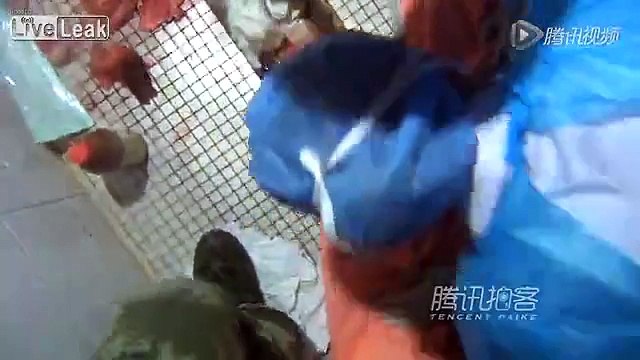 Newborn baby dropped in toilet hole after given birth by 17 yo college girl