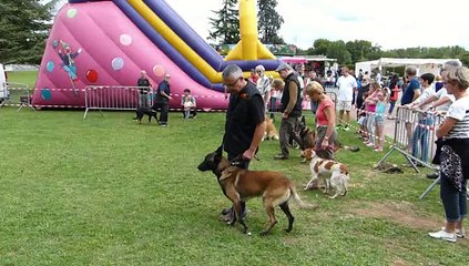 Journée des associations de Dissay