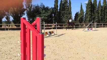 MISTER BLUE X ROX DE LA TOUCHE x Grand veneur Ayant tourner 135