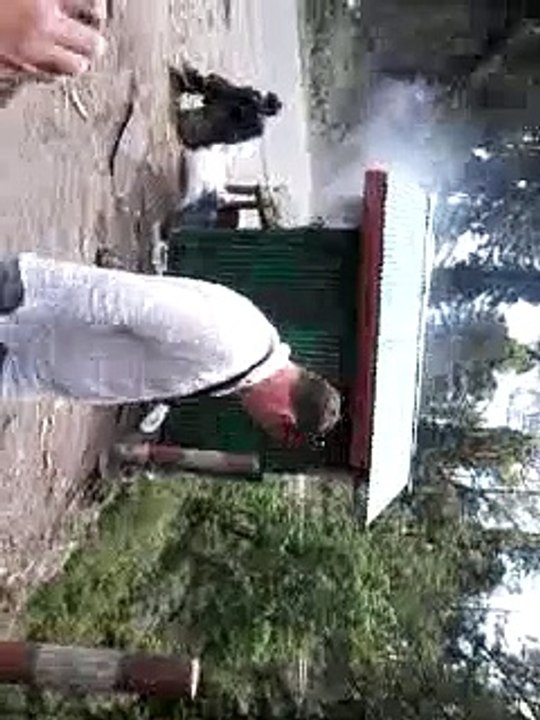Monkies family eating corn togather  in hilly area