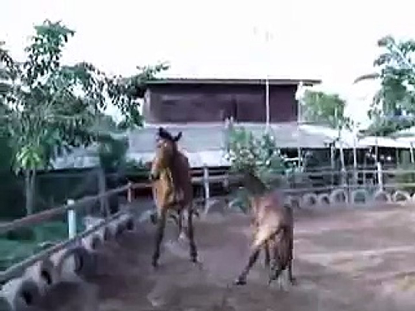 игры