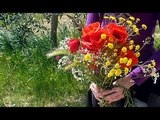 Quel' mazzolin di fiori - Lidija Percan
