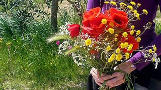 Quel' mazzolin di fiori - Lidija Percan