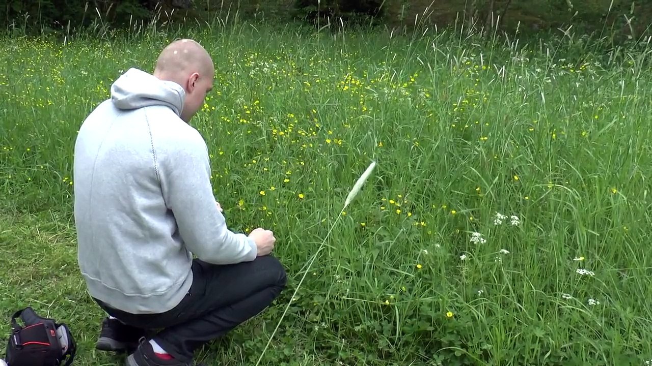Gladiator