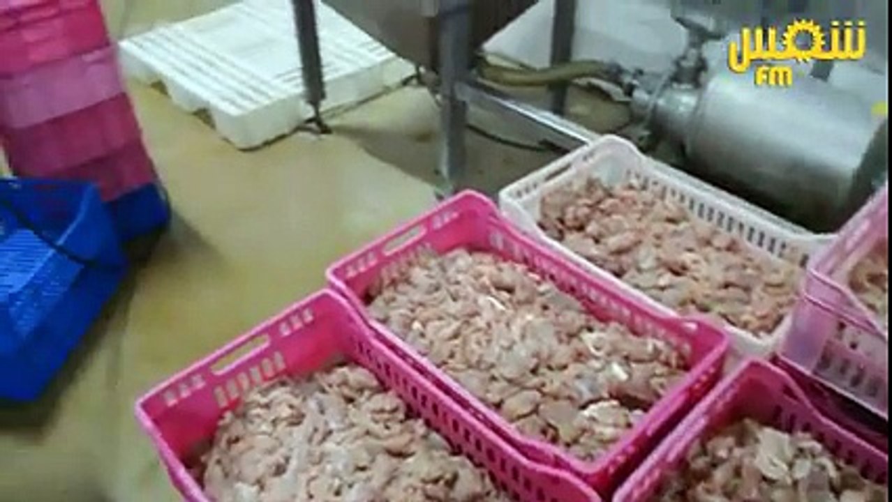 تفرجوا يا عباد SALAMI إلي تاكلوا فيه كيفاش يتصنع :o تعليقكم ؟