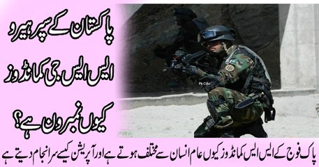 SSG Commandos Display Their Skills In This Video