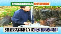 Japanese Water Fountain Prank