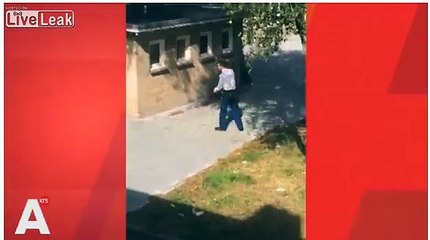 Dutch police shoots dog