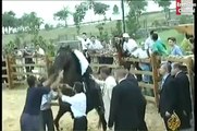 Turkish PM Erdogan falls off Horse and hits ground Hard