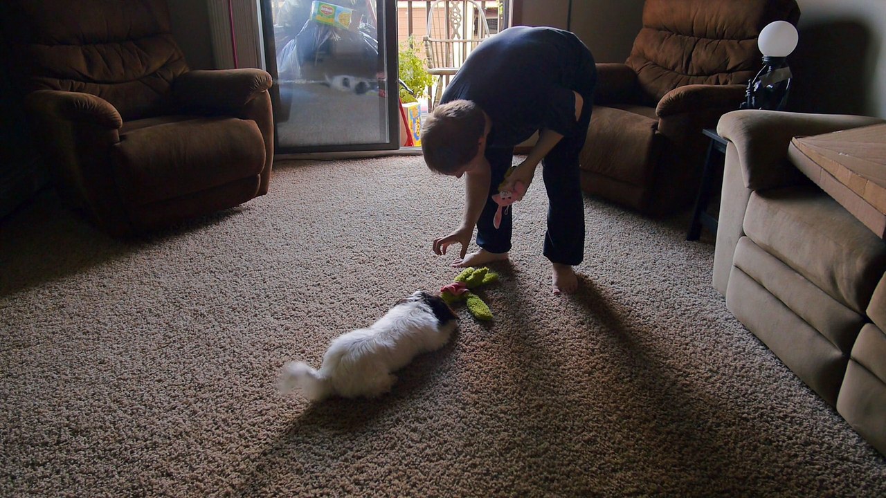Last major play session with Pipsqueak