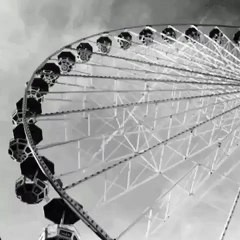 Wolf El Magnus I can't replace it loops