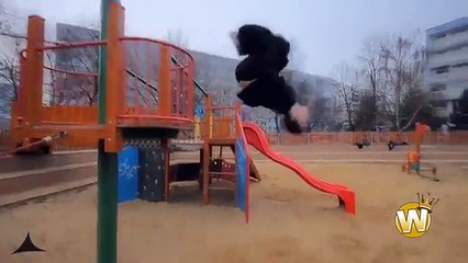 Best Parkourand Freerunn - Hot and Sweet dances with songs videos