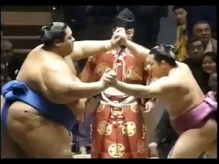 SUMO Wrestler Mainoumi -Legend of The Giant Killing-