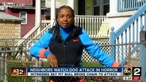 pit bull attacks - pit bulls are misunderstood