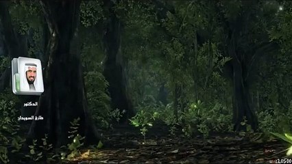 قصة حياة سيرة الامام الشافعى الشيخ طارق السويدان الحلقة 5