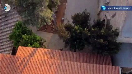 Kurtlar Vadisi Pusu 264. Bölüm Fragmanı