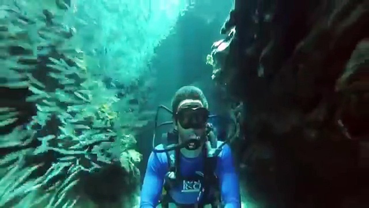 August Win Compilation 2015 - Amazing Videos Collection